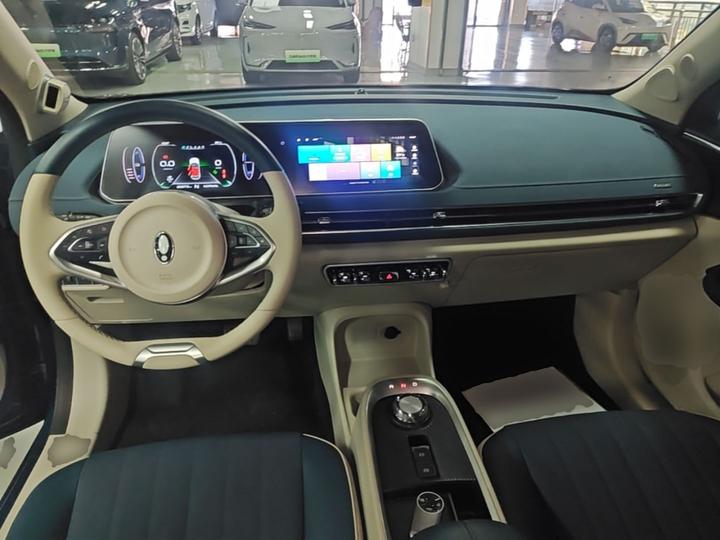 Good Cat 2021 400km Standard Range LFP photo 5