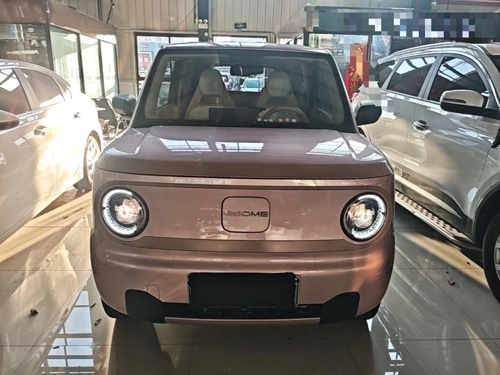 2023 Panda mini 200km Endurance Bear photo 2