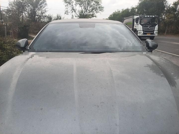 Qin L 2024 DM-i 80KM Leading photo 2
