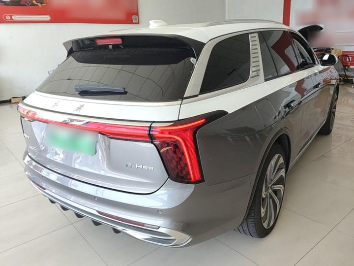 E-HS9 2021 510km 4-Seater photo 4