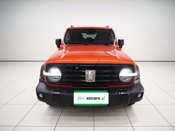 300 2021 Off-road 2.0T Conqueror photo 2