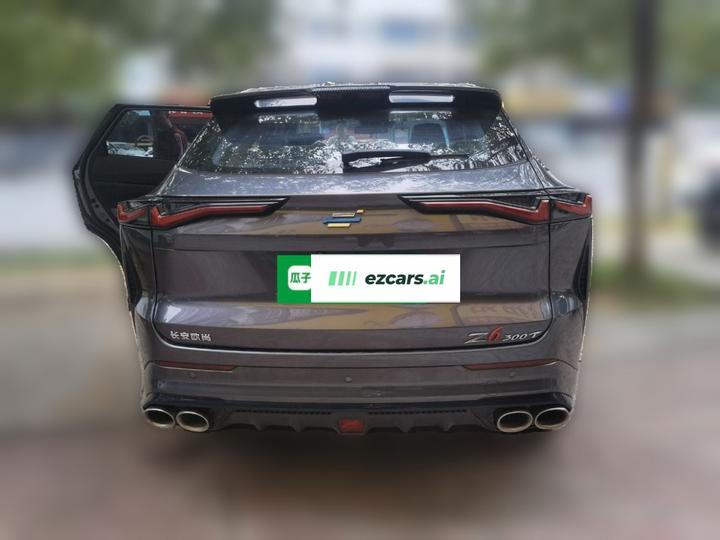Z6 2023 1.5T DCT photo 5