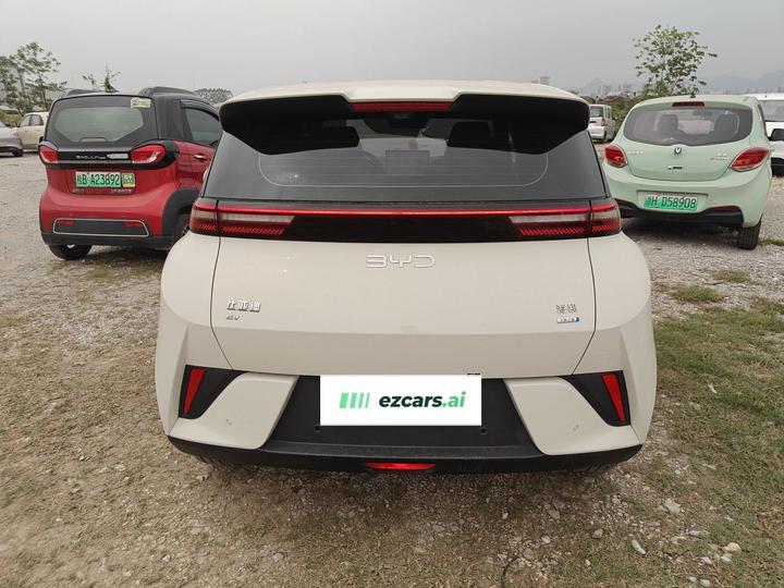 Seagull 2025 ADAS 305km photo 3