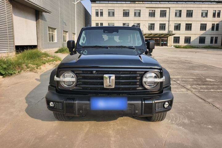 300 2021 Off-road 2.0T photo 4