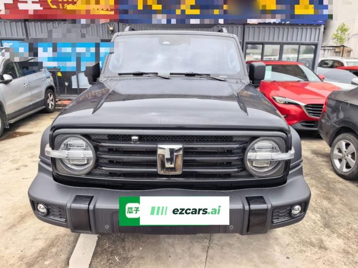 300 2023 Off-road 2.0T photo 2