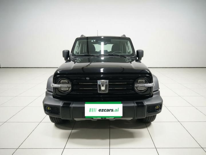 300 2021 Off-road 2.0T Conqueror photo 2
