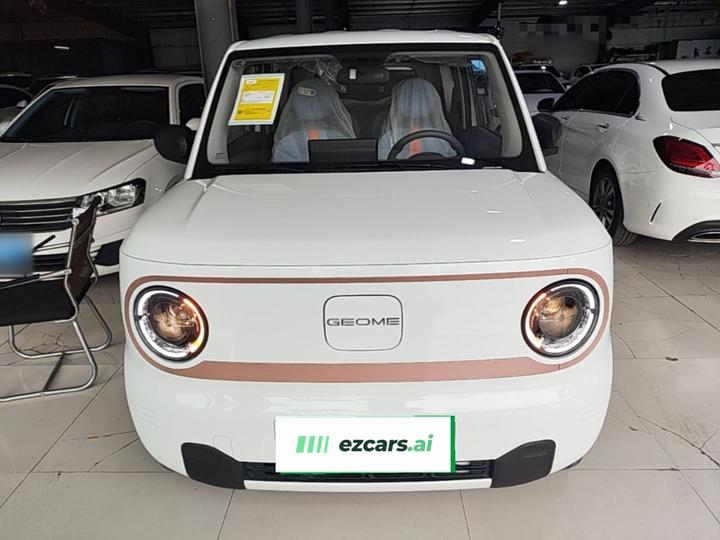 2024 Panda mini 200km Endurance Bear photo 2