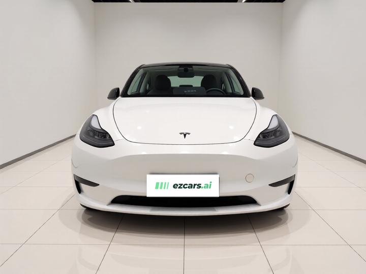 Model Y 2024 RWD photo 2