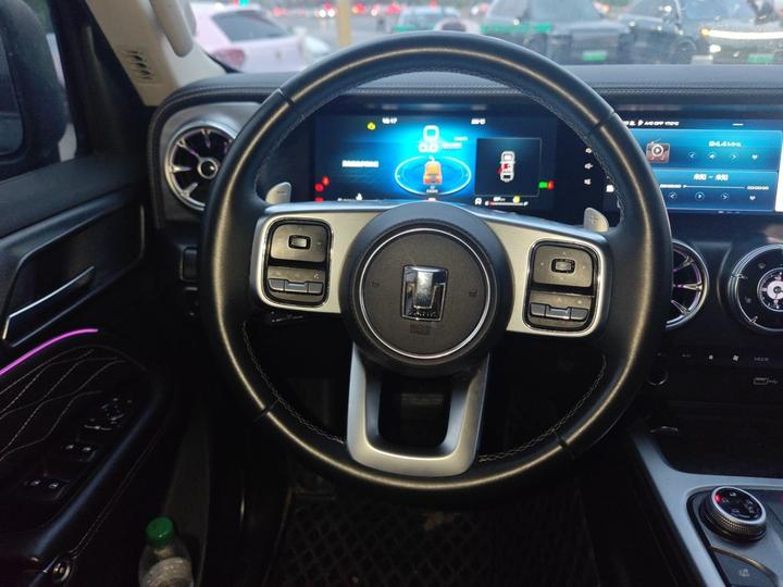 300 2023 Off-road 2.0T photo 7