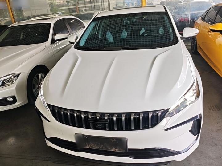 2024 Binrui COOL 1.5T DCT Champion photo 2
