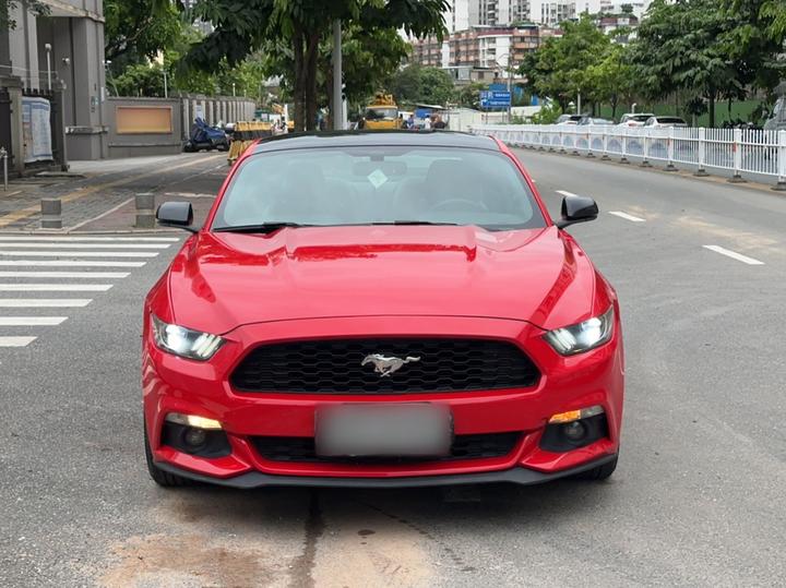 Mustang Parallel Import photo 2