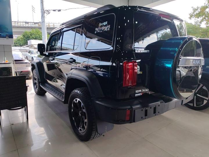 300 EV 2025 Hi4-T 37.1kWh photo 4