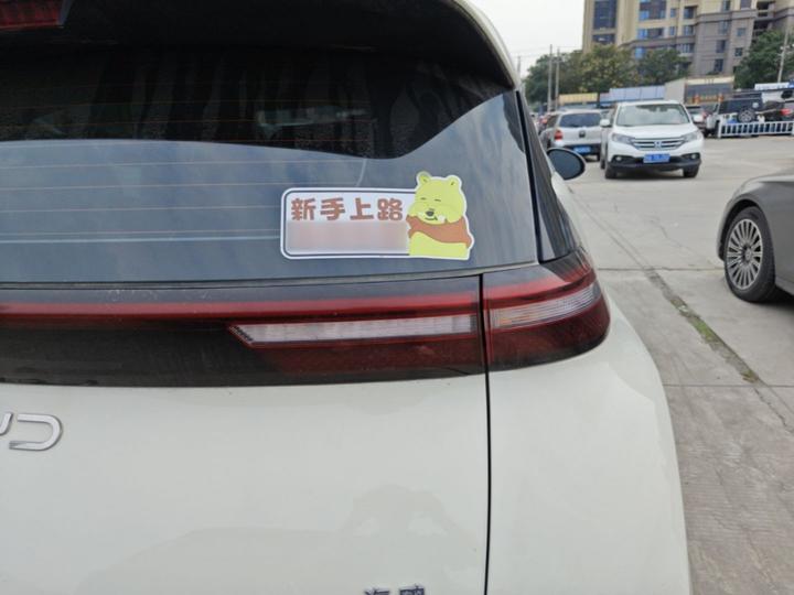 Seagull 2025 405km photo 7