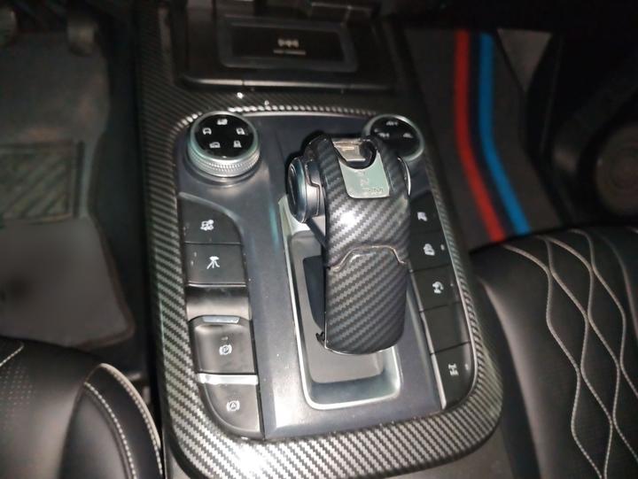300 2021 Off-road 2.0T photo 6