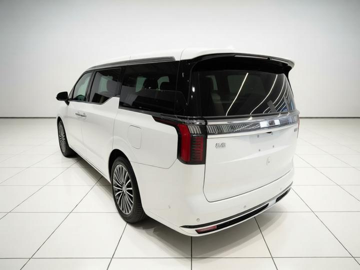 009 2024 7-Seater AWD 108kWh photo 4