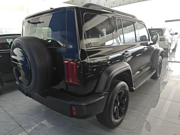 300 2023 Off-road 2.0T Conqueror photo 4