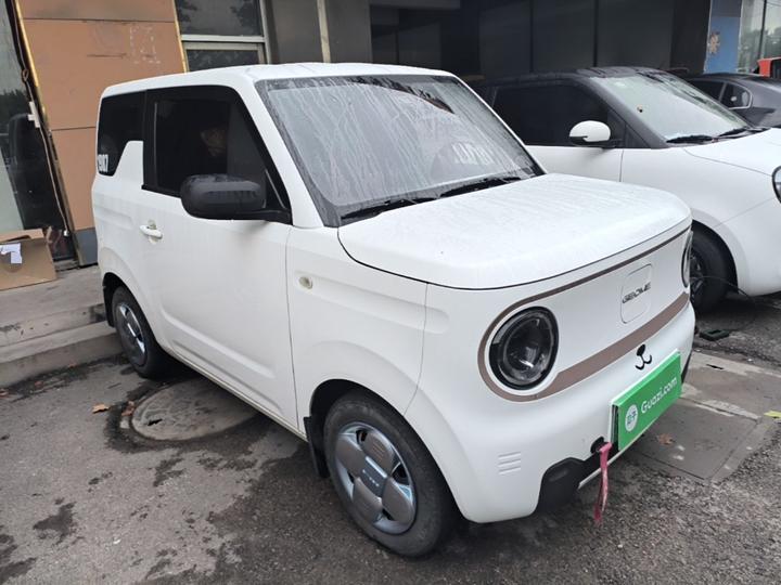 2024 Panda mini 200km Endurance Bear photo 3