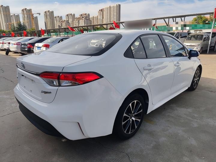 Levin 2023 TNGA 1.5L CVT Progressive photo 4