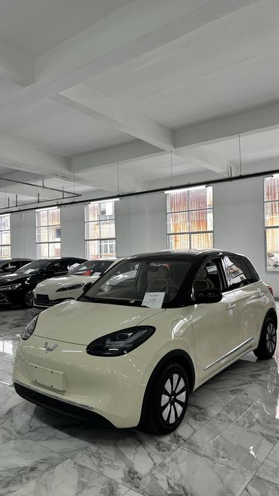 Wuling Bingo 2025 333km