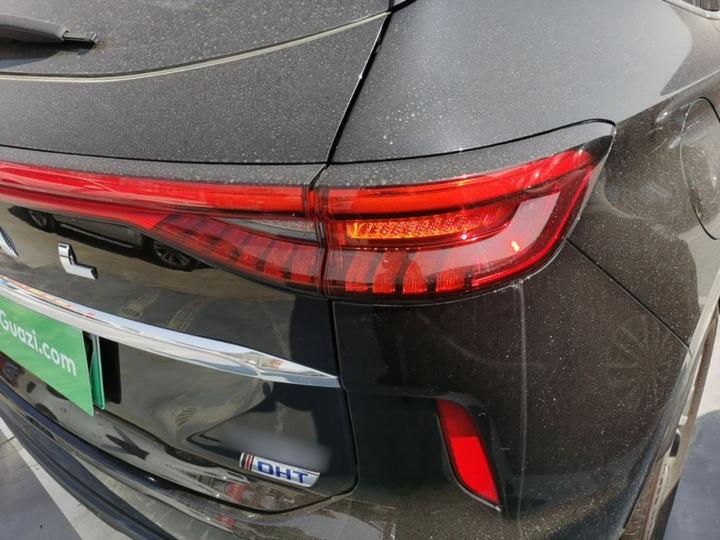 H6 EV 2023 DHT-PHEV 110KM photo 7