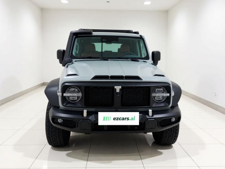 300 2023 2.0T 02 photo 2