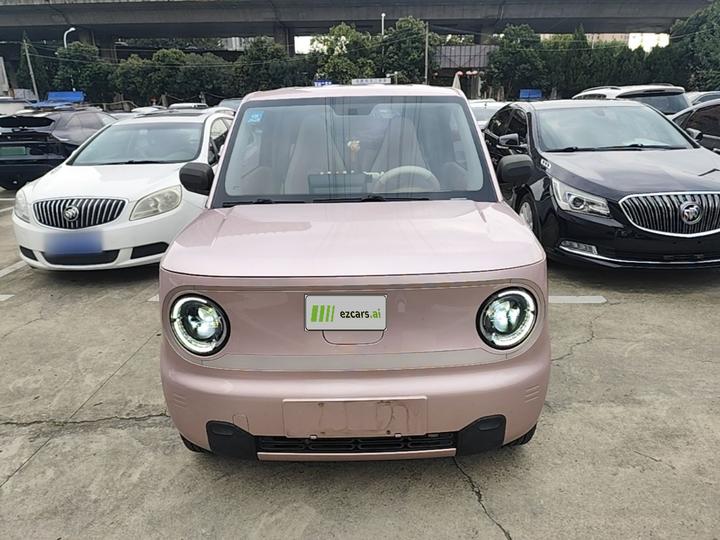2023 Panda mini 200km Endurance Bear photo 2