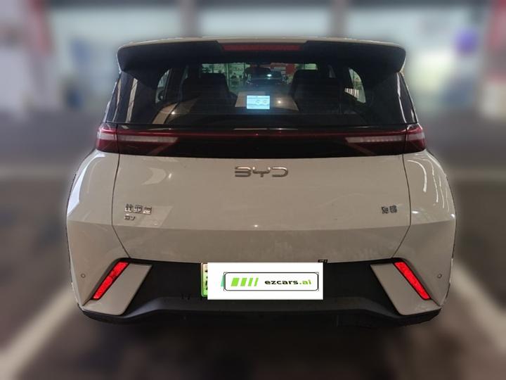 Seagull 2024 Honor 305km photo 5
