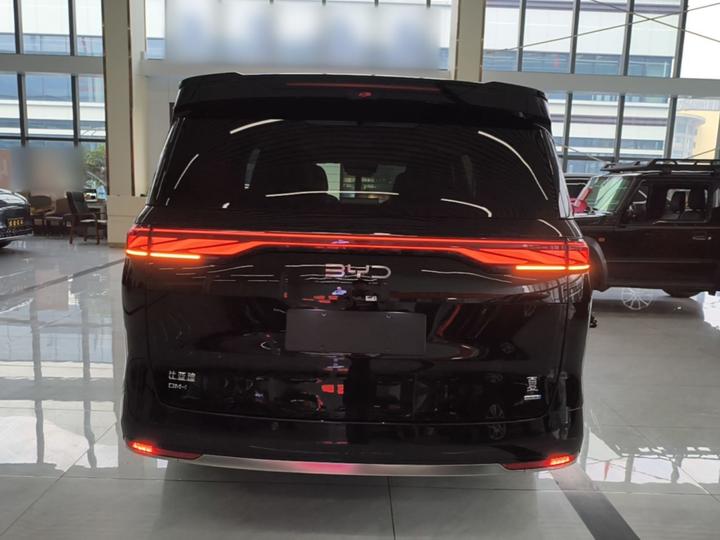 2025 DM-i 1.5T 100km photo 3