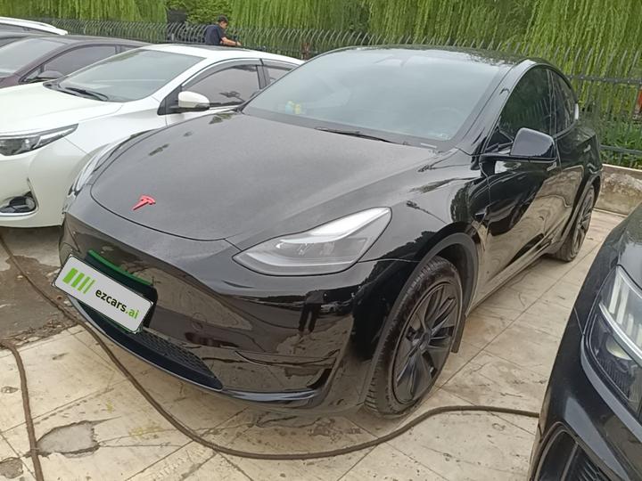 Model Y 2024 RWD