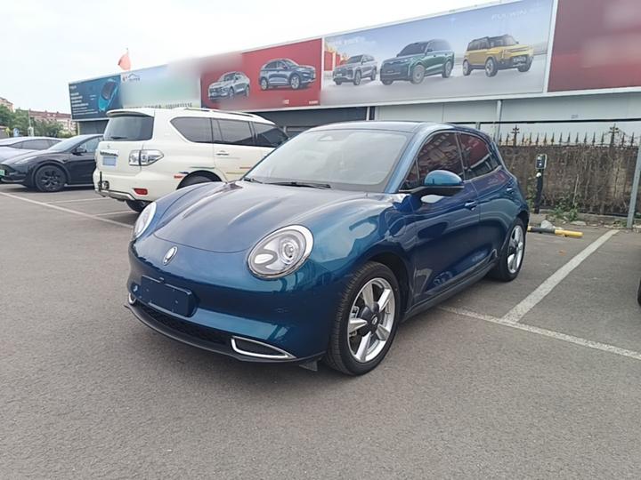 Good Cat 2023 401km Standard Range Luxury LFP