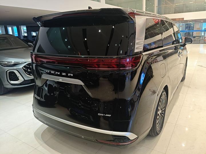 D9 2024 DM-i 980 AWD Noble photo 4