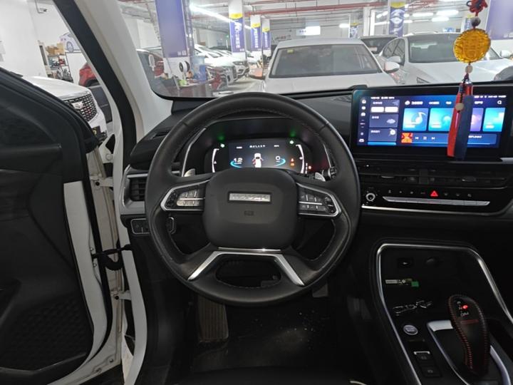 H6 2021 1.5T AT Champion photo 6