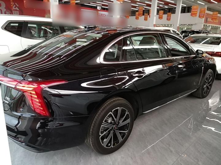 H5 PHEV 2025 130 photo 6