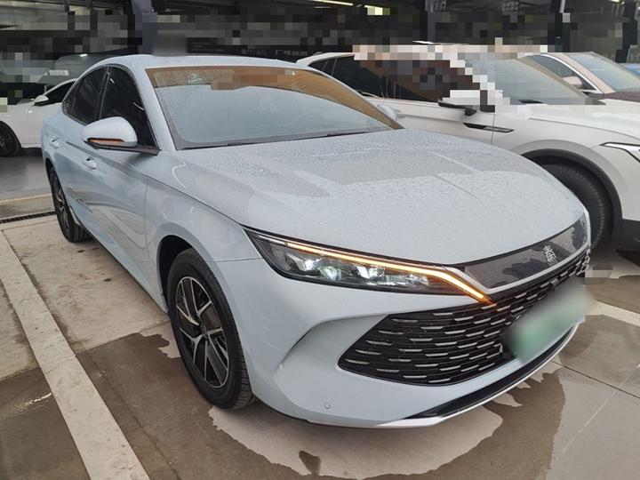 Qin L 2024 DM-i 120KM photo 3