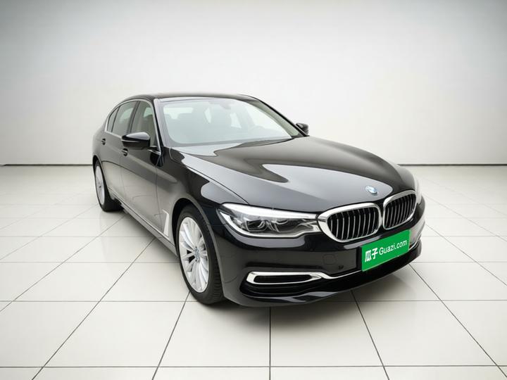 5 Series 2019 Facelift 530Li Exclusive Luxury photo 3