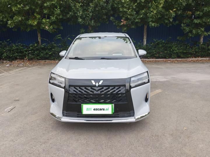 730 EV 2025 125km Luxury photo 2