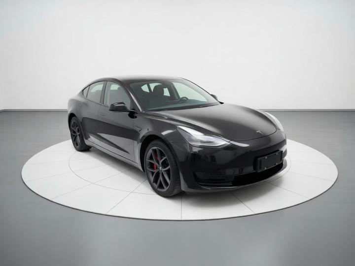 Model 3 2021 Facelift Performance AWD photo 3