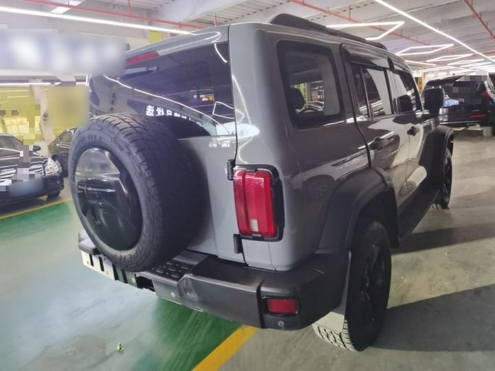 300 2021 Off-road 2.0T Conqueror photo 4
