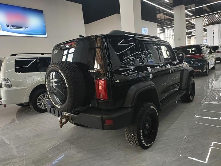 300 2023 Off-road 2.0T Conqueror photo 4