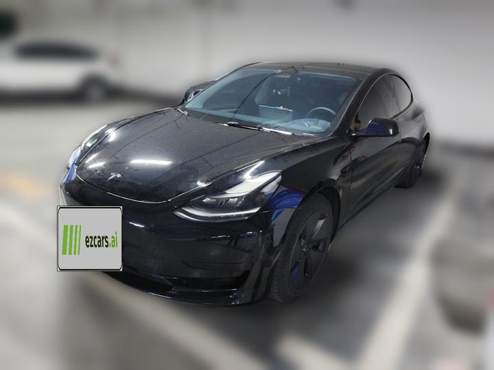 Model 3 2021 Standard Range RWD Upgraded 3D6