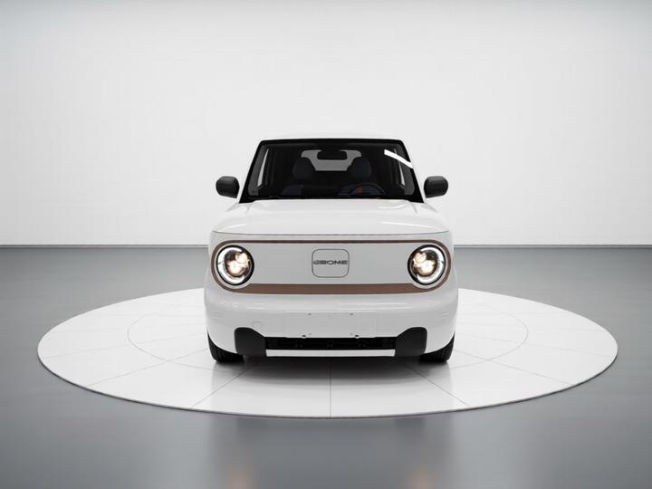 2024 Panda mini 200km Endurance Bear photo 2
