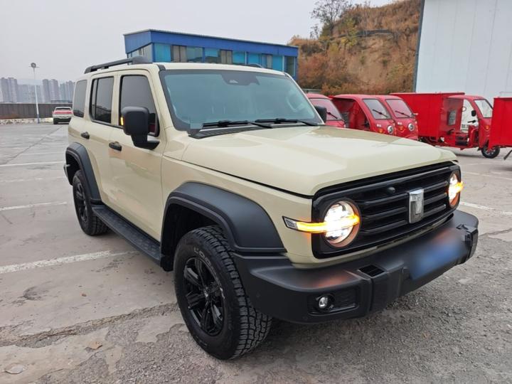 300 2025 2.0T Petrol Conqueror photo 3