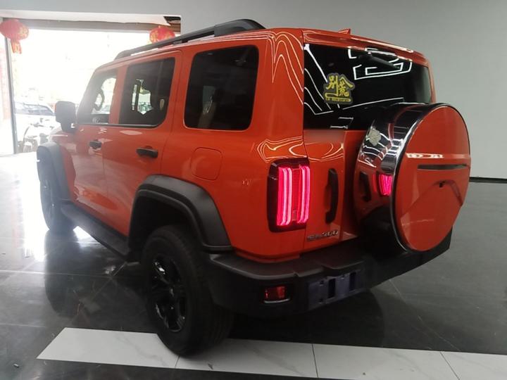 300 2023 Off-road 2.0T Conqueror photo 4