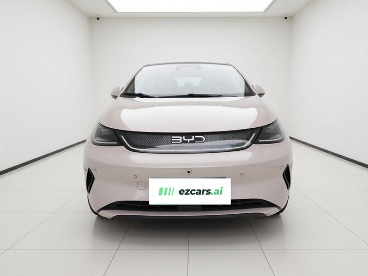 Dolphin 2025 ADAS 420km photo 2