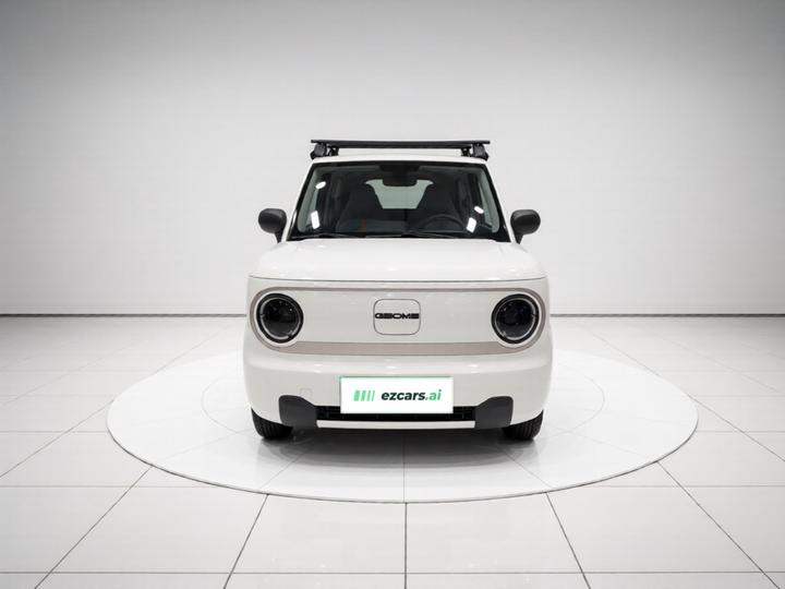 2023 Panda mini 200km Endurance Bear photo 2