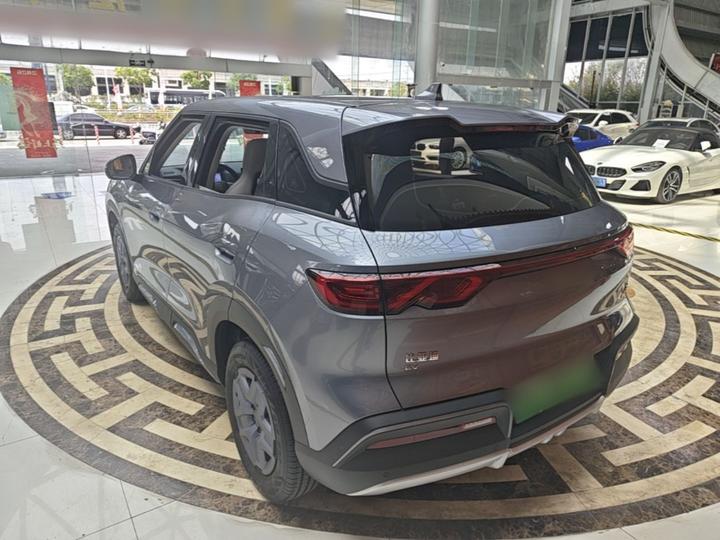 Yuan UP 2025 301KM Pilot photo 4