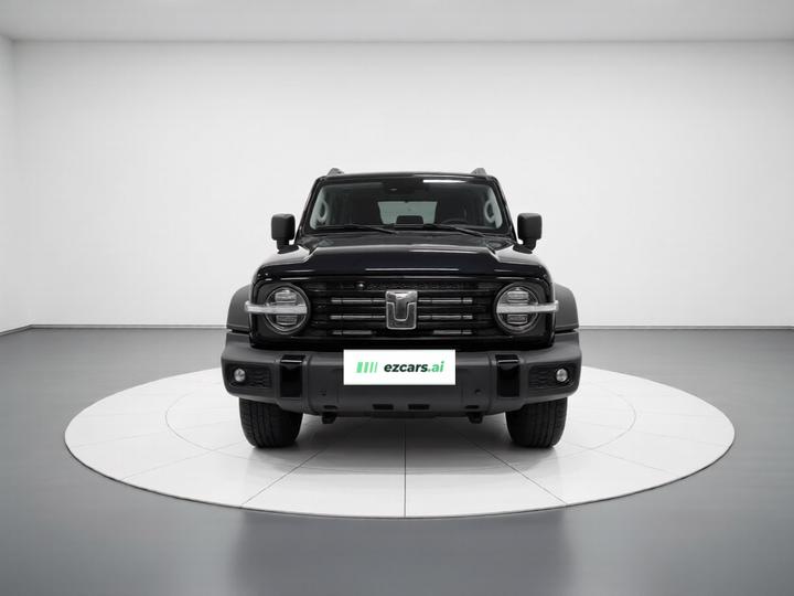 300 2021 Off-road 2.0T Conqueror photo 2
