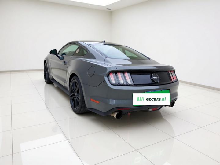 Mustang 2015 2.3T Performance photo 4