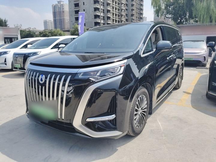 D9 2024 EV 600 AWD Premium
