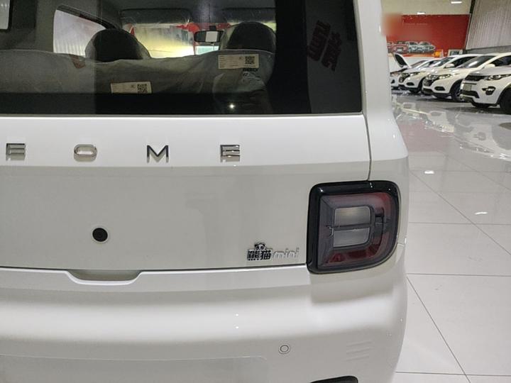 2024 Panda mini 200km Endurance Bear photo 7